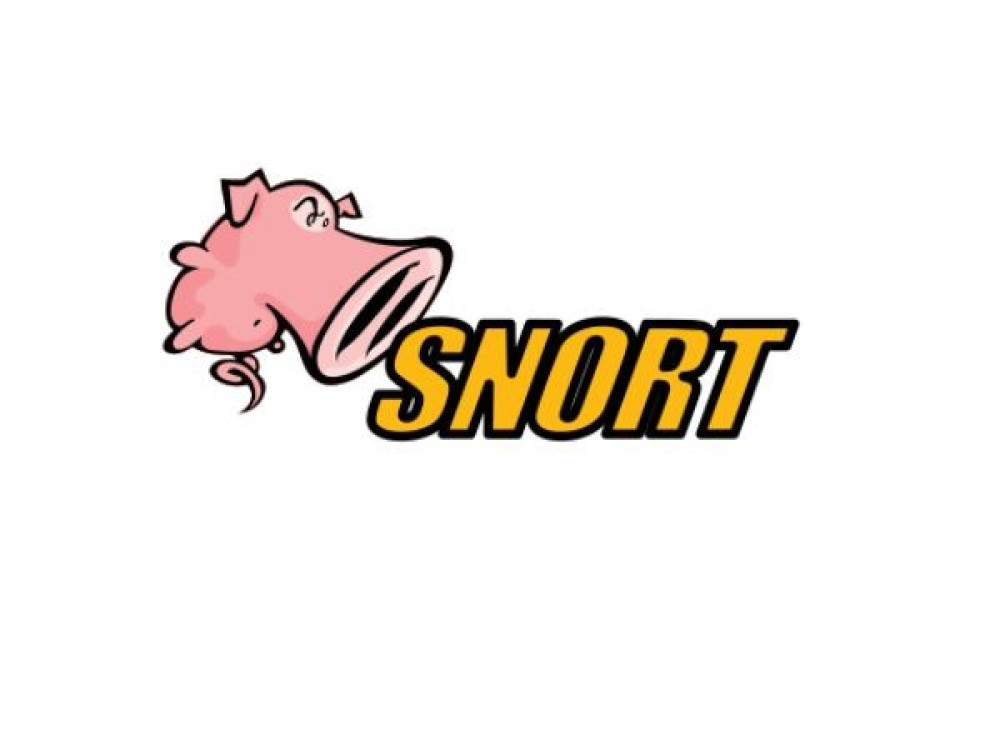 Hospital IDS Deployment (Snort)